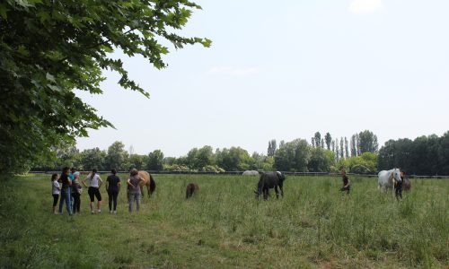 IMG_0146-1