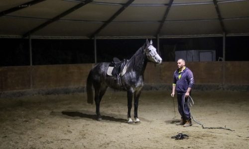 IMG_3770